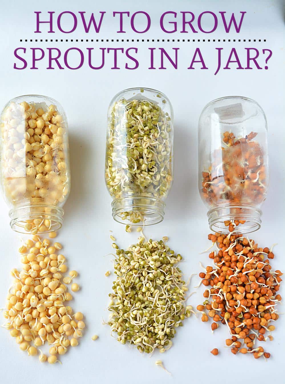 How to make Sprouts in a jar, Make sprouts in canning jar,Sprouting seeds