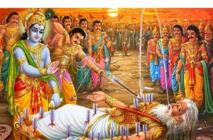 Bhishma-Pitamah Makar Sankranti - Harvest festival