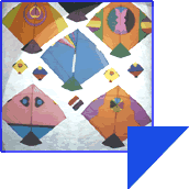 Makar Sankranti- Kite festival Makar Sankranti- Kite festival