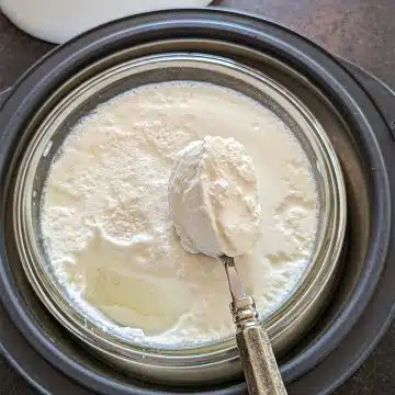 Homemade dahi set in a casserole