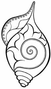 Kurma Avatar -Panchajanya