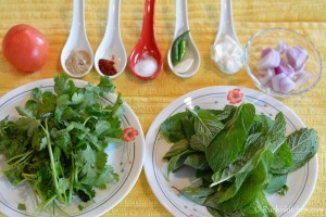 Mint chutney ingredients