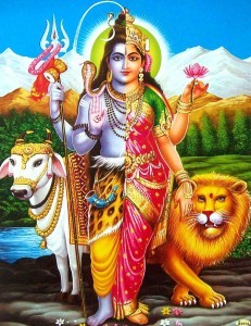 ardhnarishwar