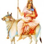 maamaha-gauri