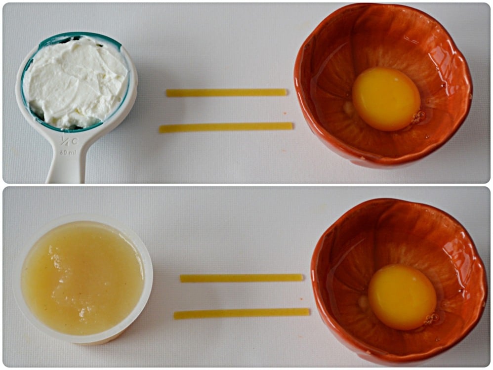 Egg substitues
