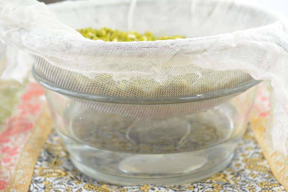 How to Sprout Mung Beans (Green Gram) at Home