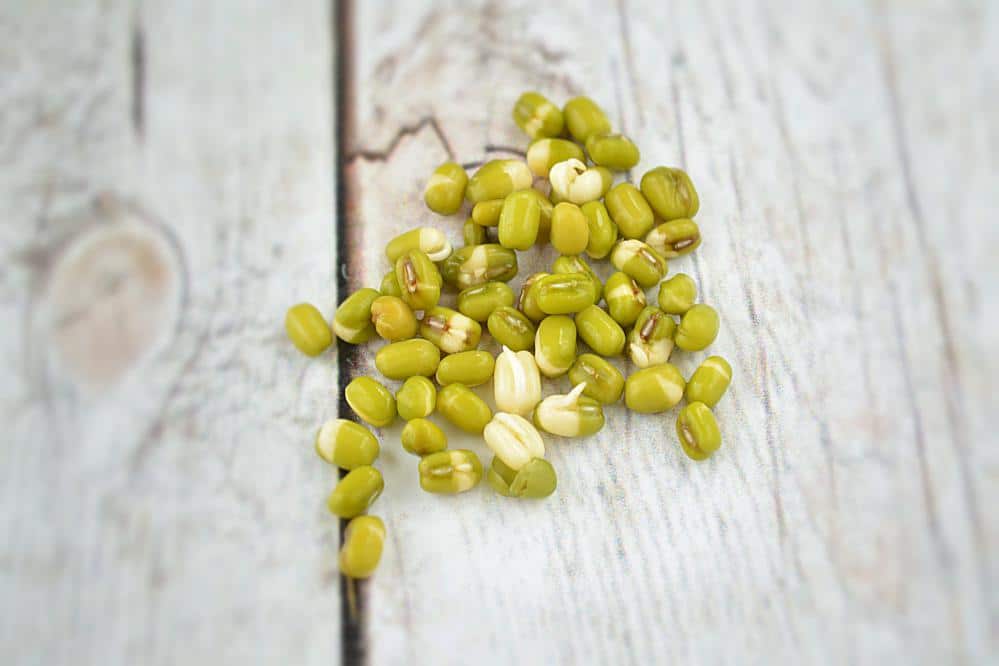 How to make Sprouts in a jar, Make sprouts in canning jar,Sprouting seeds