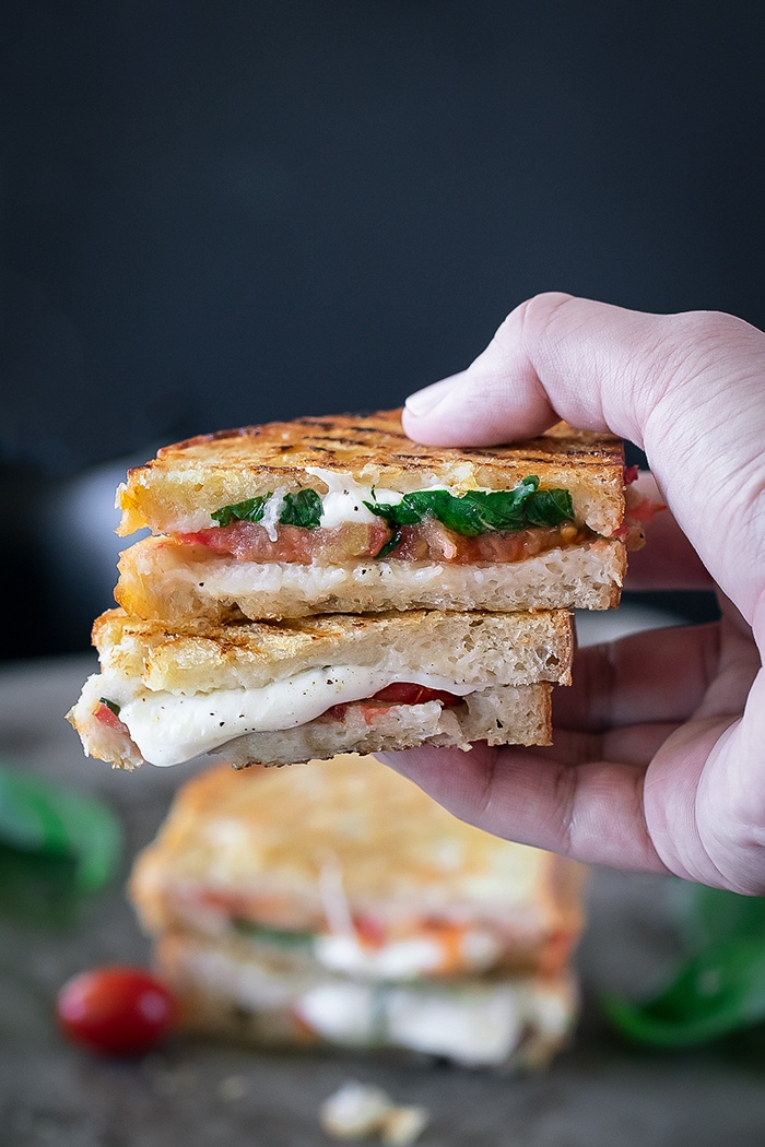 Grilled cheese Sandwich 