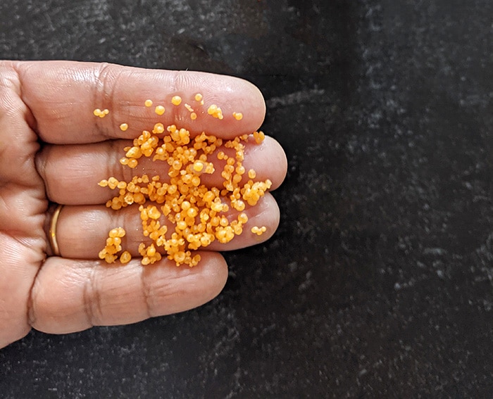 Size of motichoor boondi