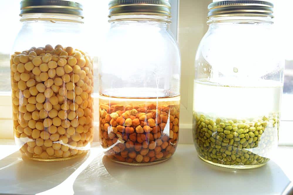 HOW TO MAKE SPROUTS IN A JAR