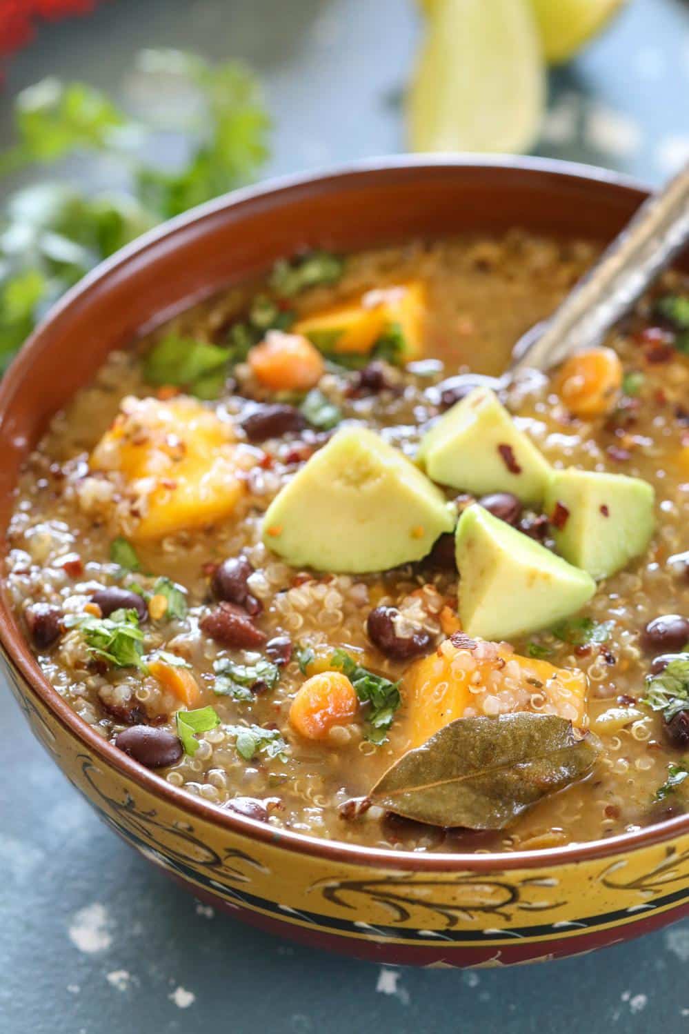 Instant Pot Butternut Squash And Quinoa Stew, Vegan Instant Pot Soups