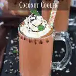 Dark Chocolate Coconut Cooler Collage - Ruchiskitchen