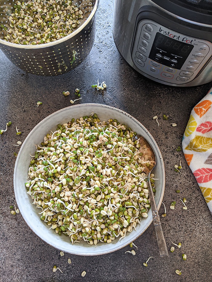 Instant Pot Moong Beans are ready for salad