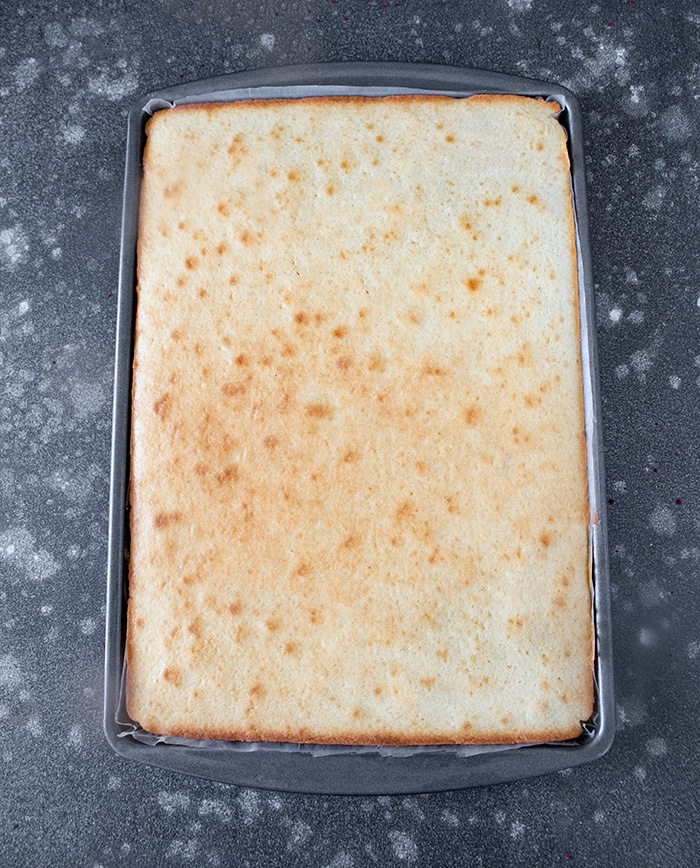 Eggless Tiramisu baked cake