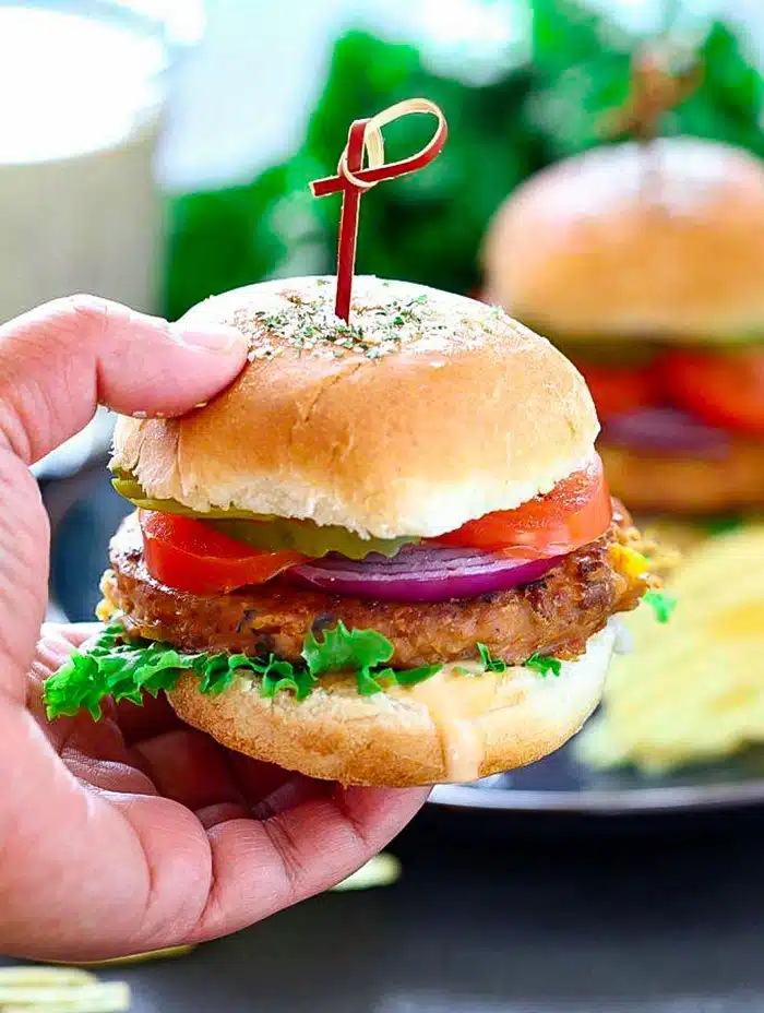 Sun-dried tomato chickpea burger with stick on top