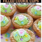 Pinterest Pin